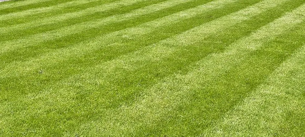 artificial grass turf in nigeria 