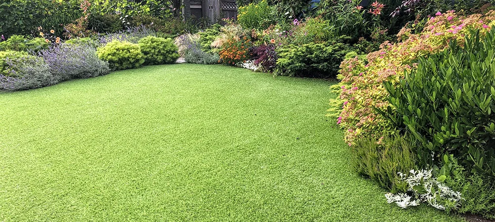 Benefits of Artificial Grass Carpet in Nigeria