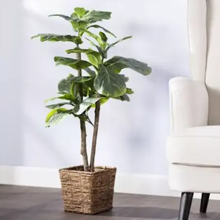 What Are the Advantages of Using Artificial Plants in Nigeria? 